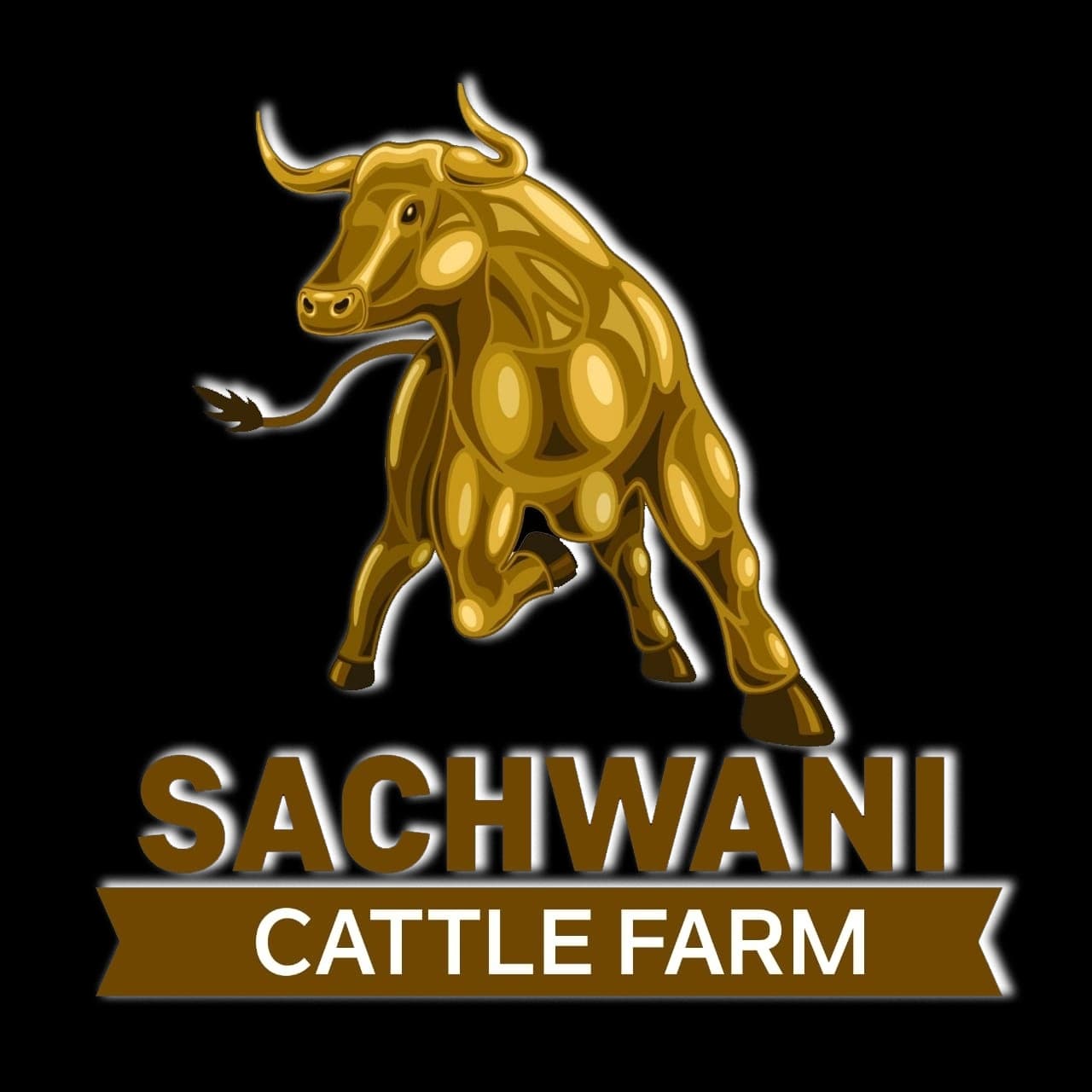 Sachwani Cattle Farm team logo
