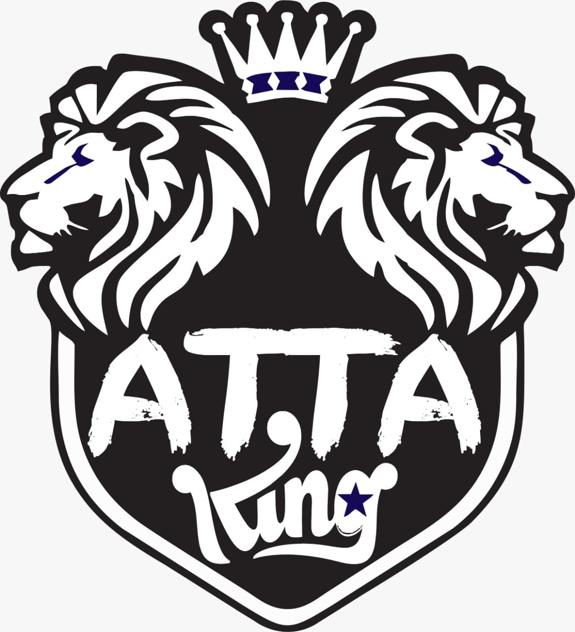 ATTA CRICKET ACADEMY