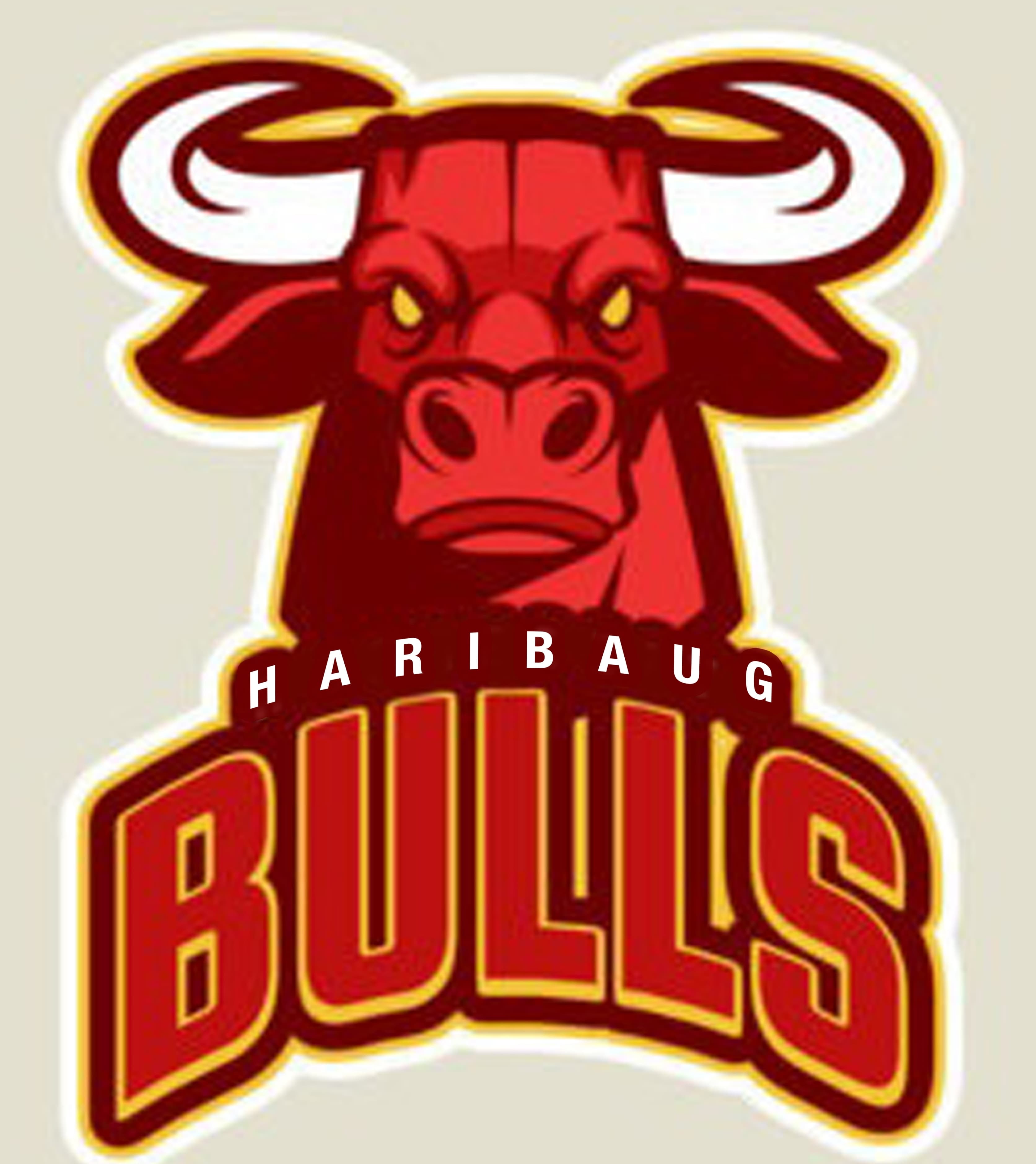 HARIBAUG  BULLS team logo