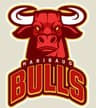 HARIBAUG  BULLS
