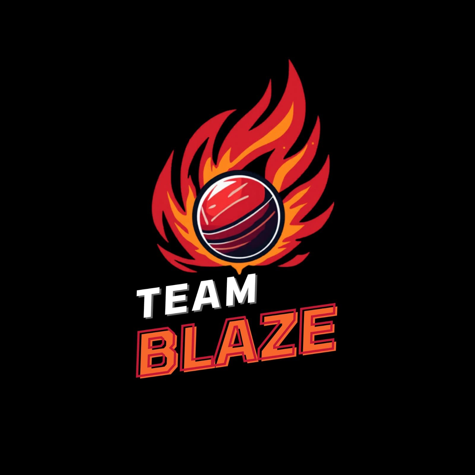 YASHU team logo