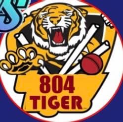 804 TIGERS team logo
