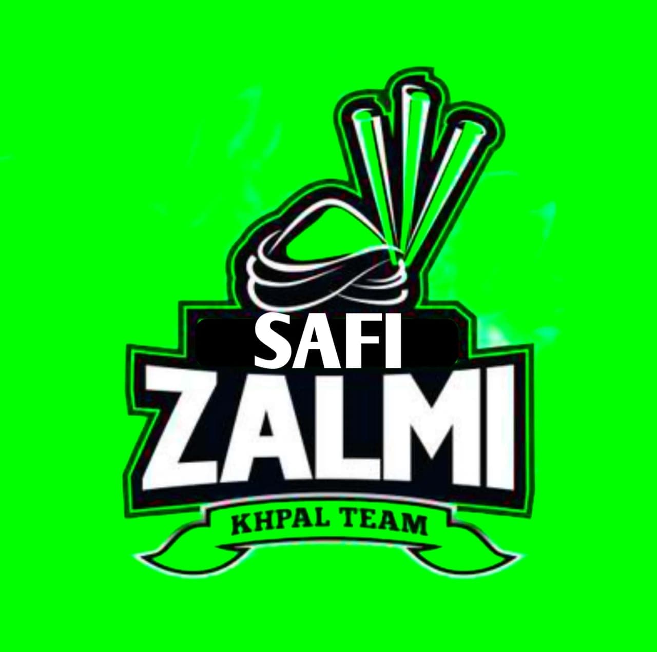 Safi Zalmi