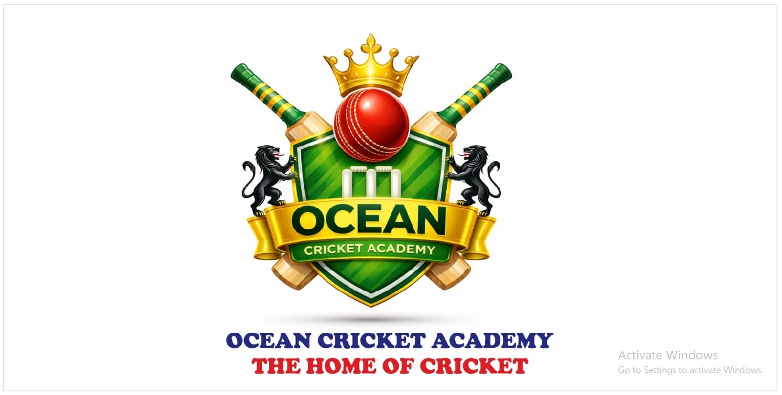 OCEAN CRICKET ACADEMY CHAKWAL