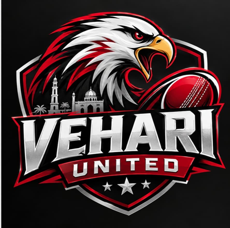 Vehari United team logo