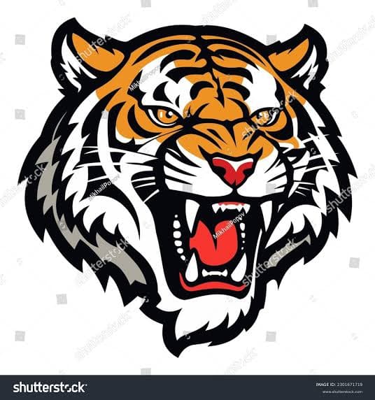 Baid Tigers