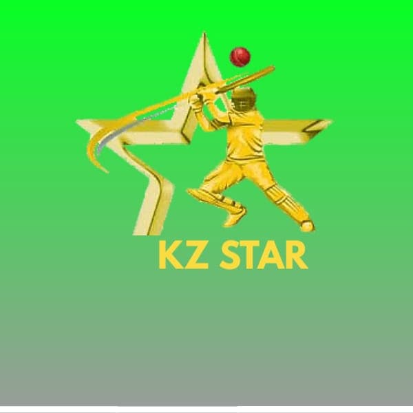 Shoaib Pathan team logo