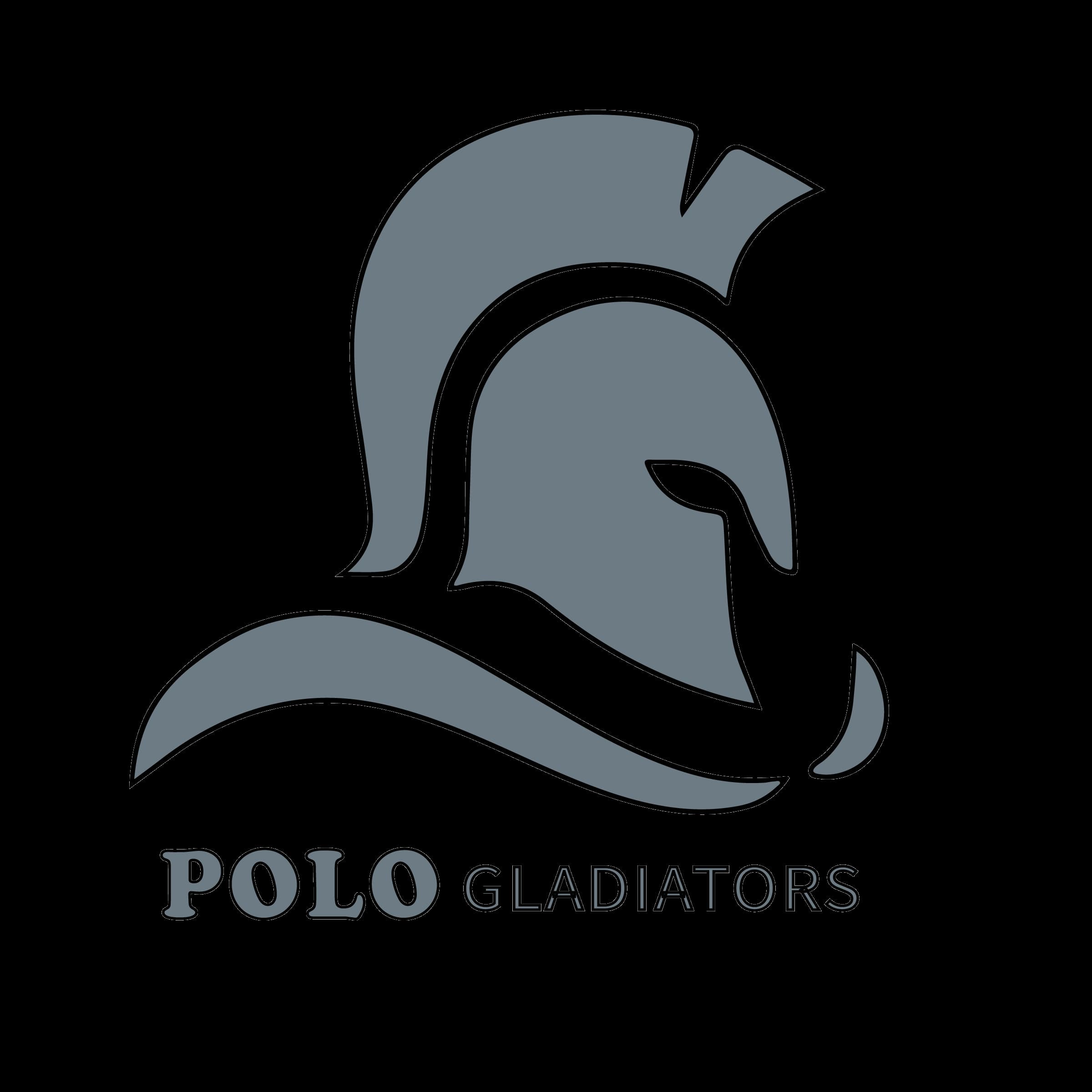 Salman Khan team logo