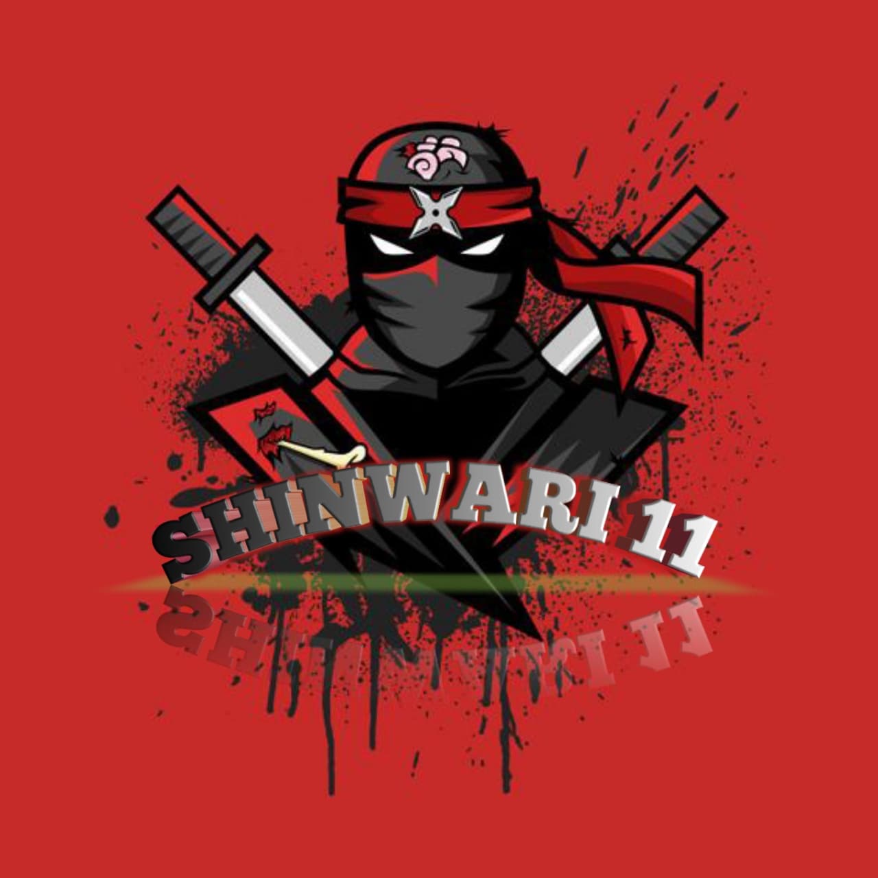 SHINWARI 11 team logo