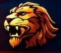 Memon Lions