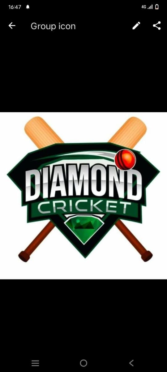 Diamond Shams C team logo