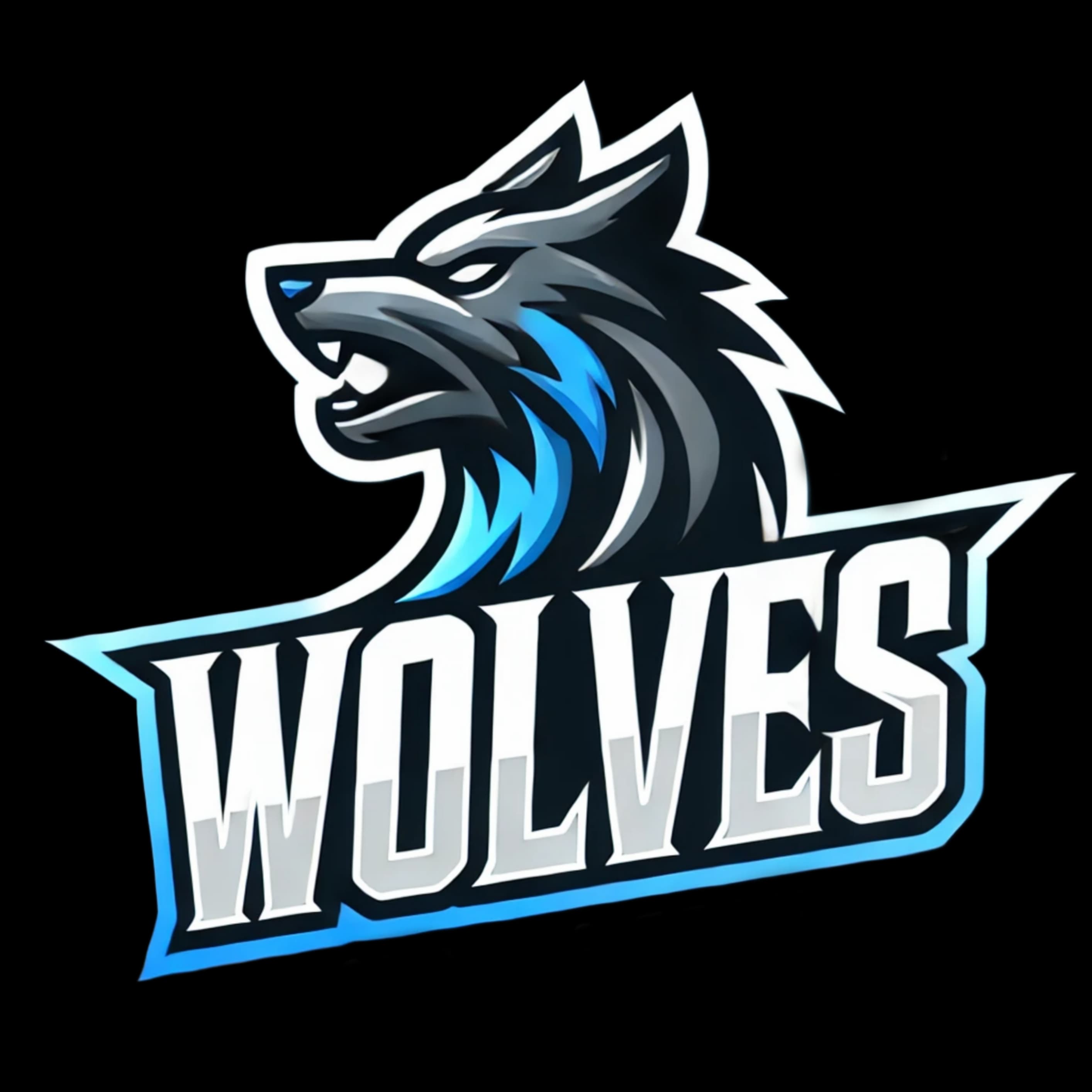 Saifullah team logo