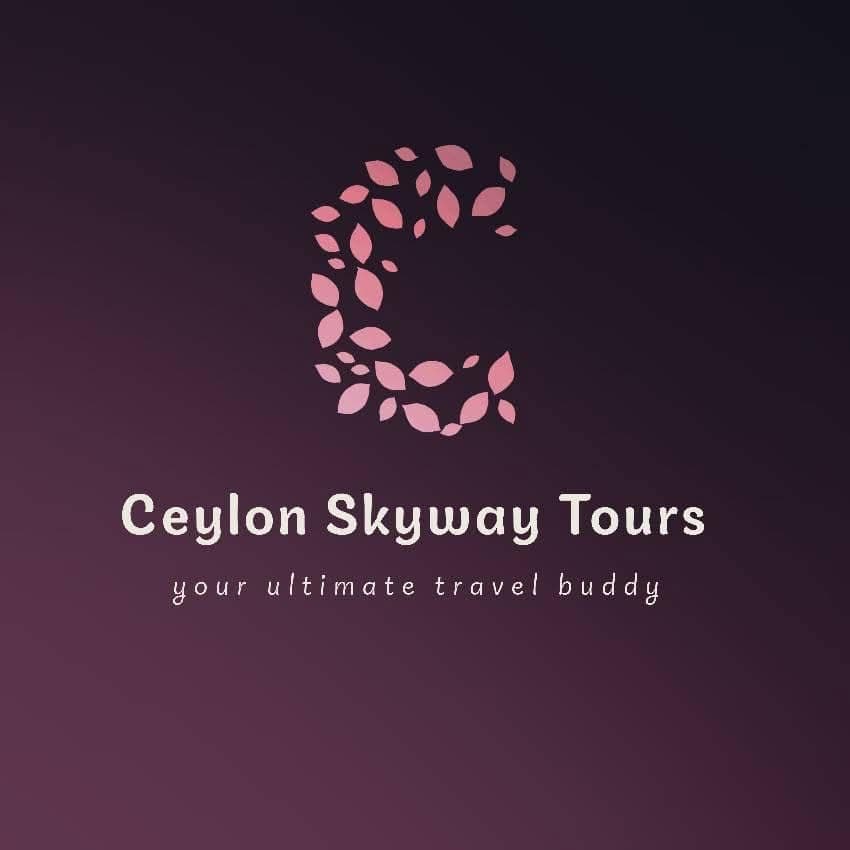 Skyway Fighters team logo