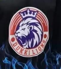 Dukki Lions team logo