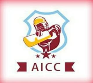 Arsalan Iqbal Cricket Club team logo