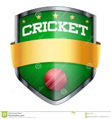 Bedar Chandio team logo