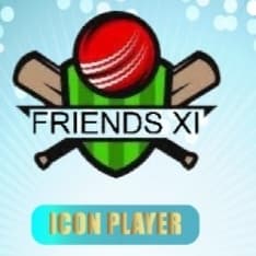 Friends Eleven team logo