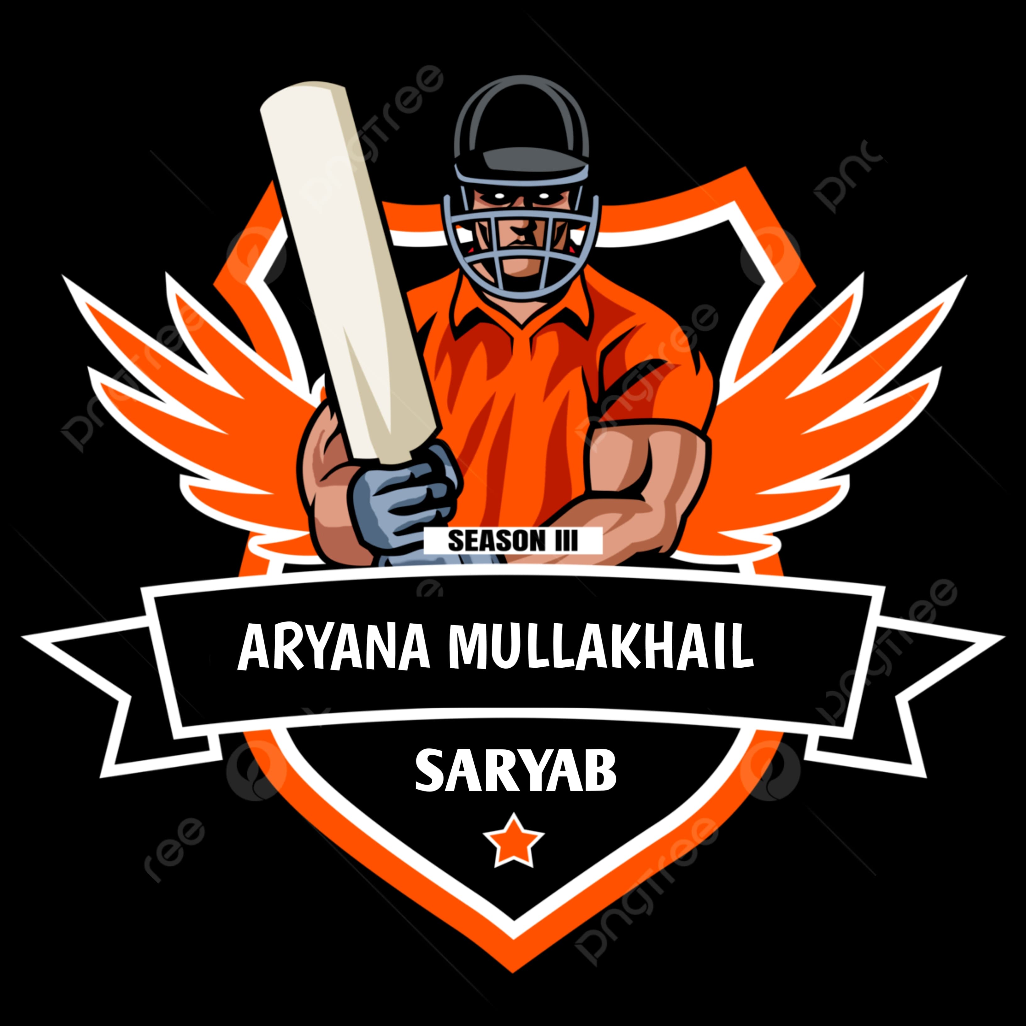 ARYANA MULLAKHAIL team logo