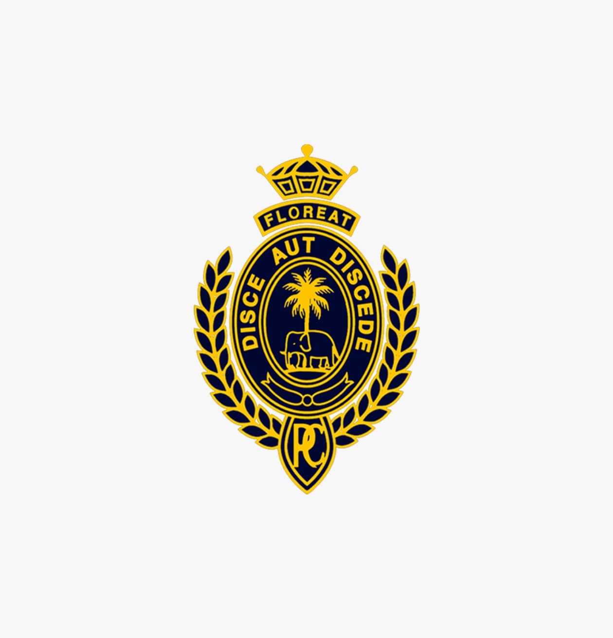 ROYAL COLLEGE team logo