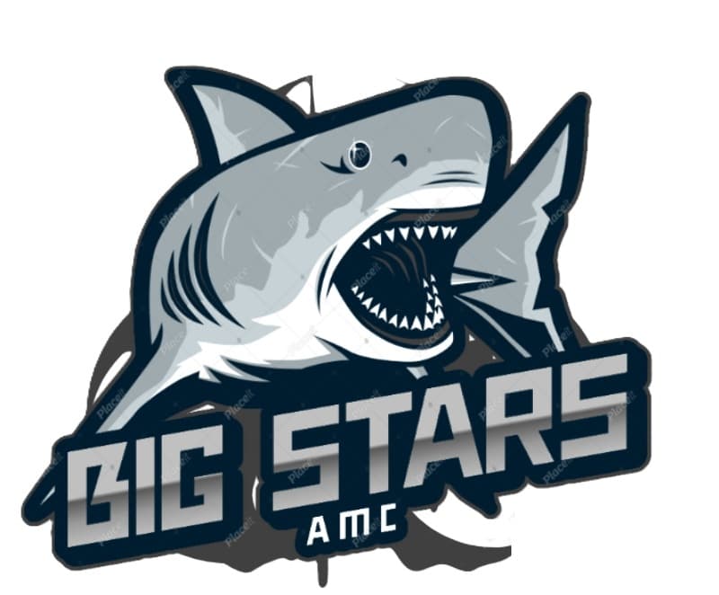 AMC BIG STARS team logo