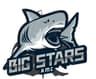 AMC BIG STARS