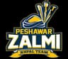 PESHAWAR ZALMI'