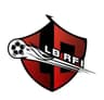Diamond LB RFI