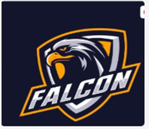 Proud Falcons team logo