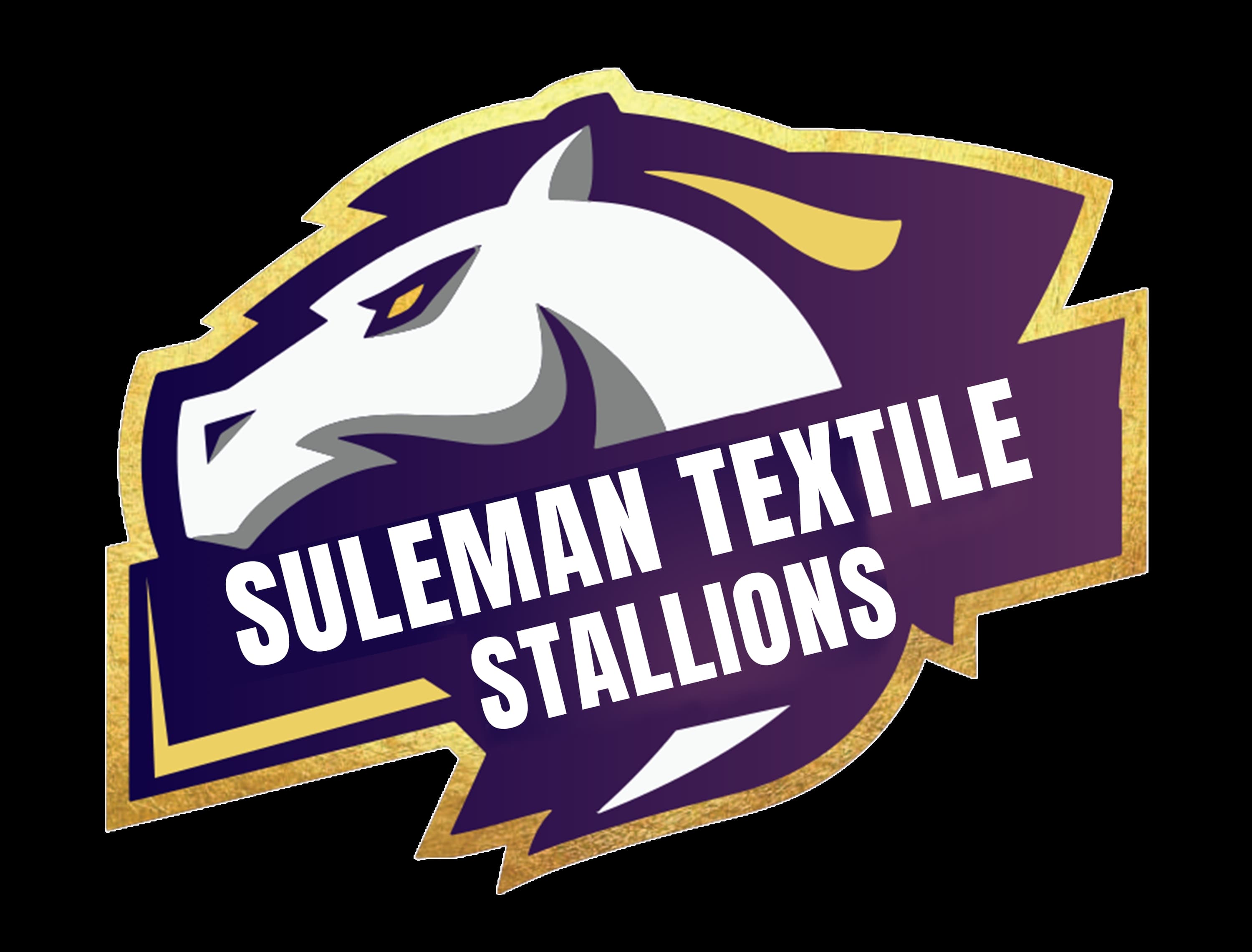 Suleman Textile team logo