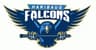 HARIBAUG  FALCONS