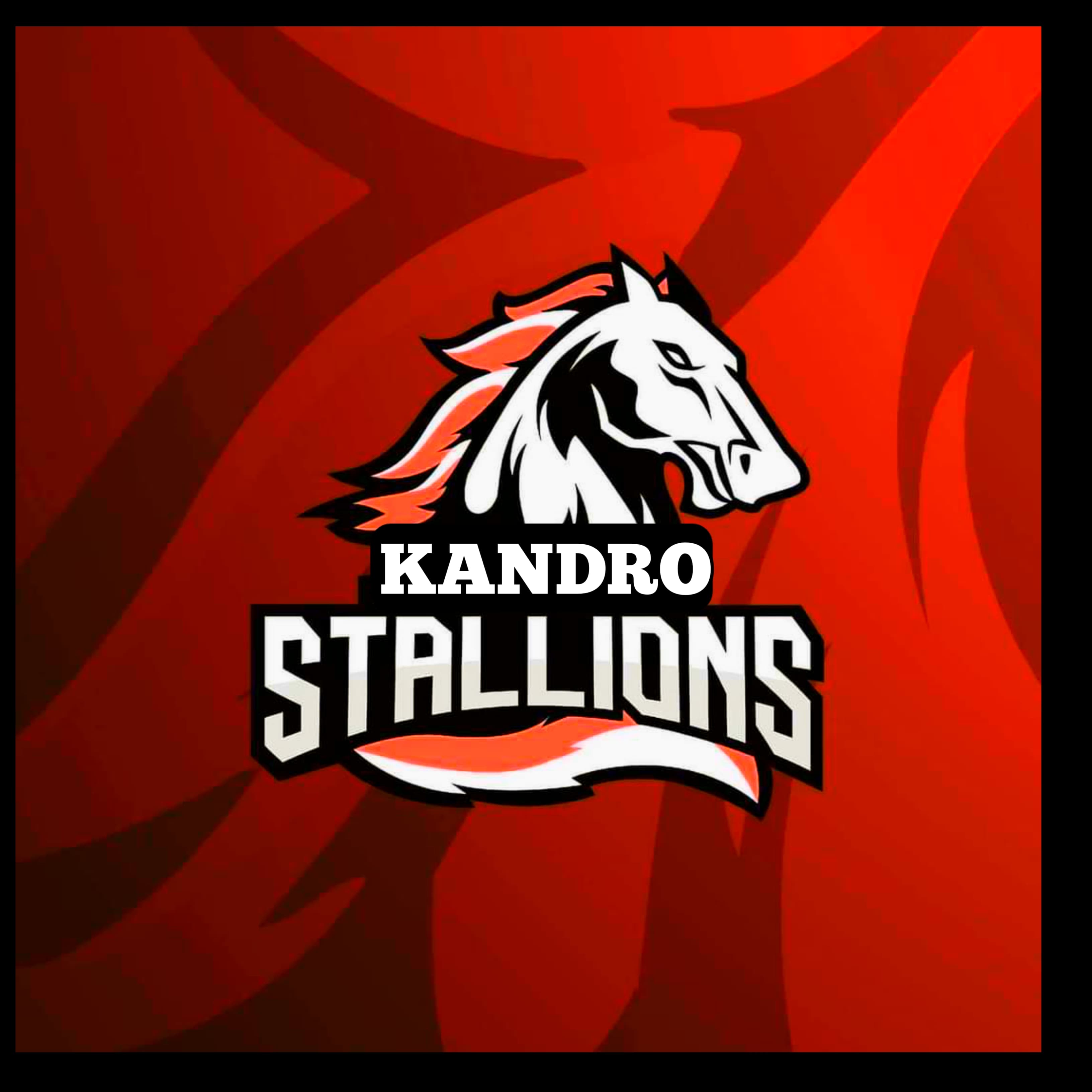 KANDRO Stallions