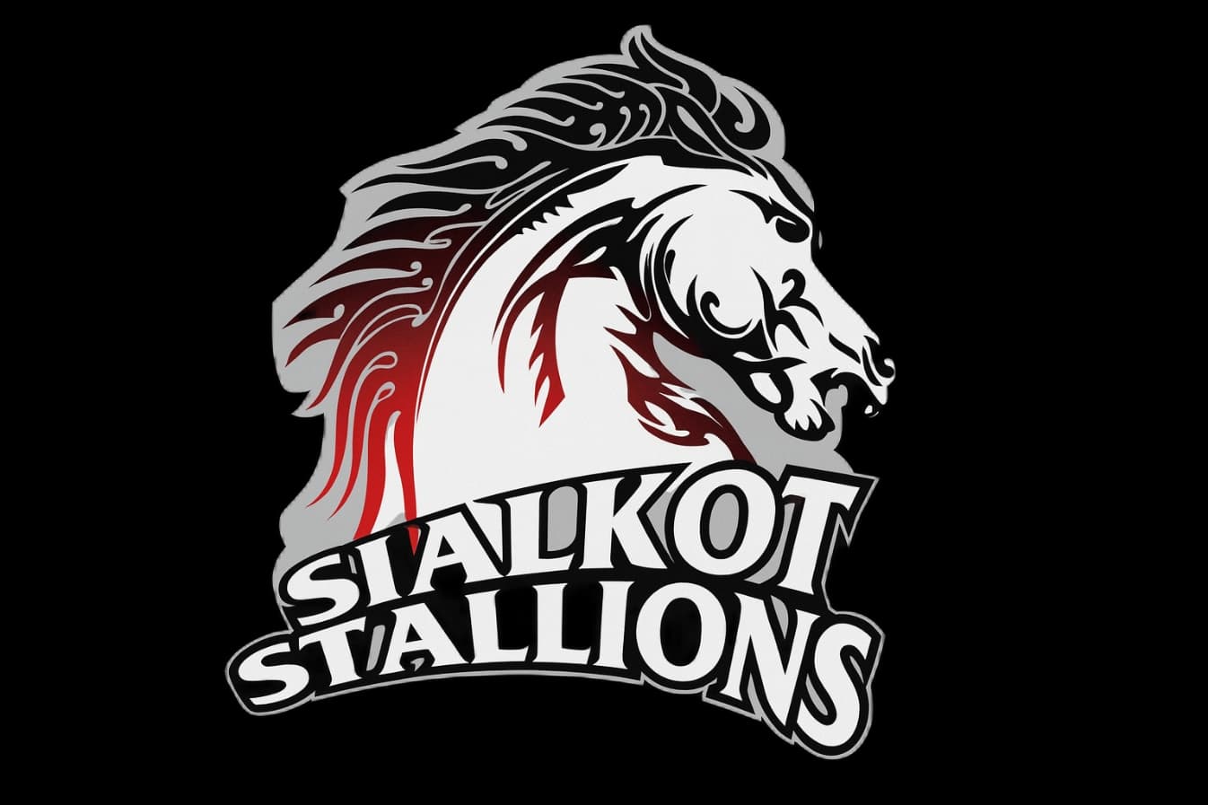 Sialkot Stallions