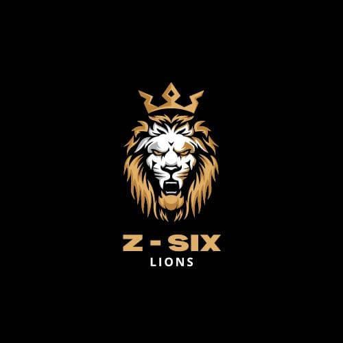Z-Six Sports