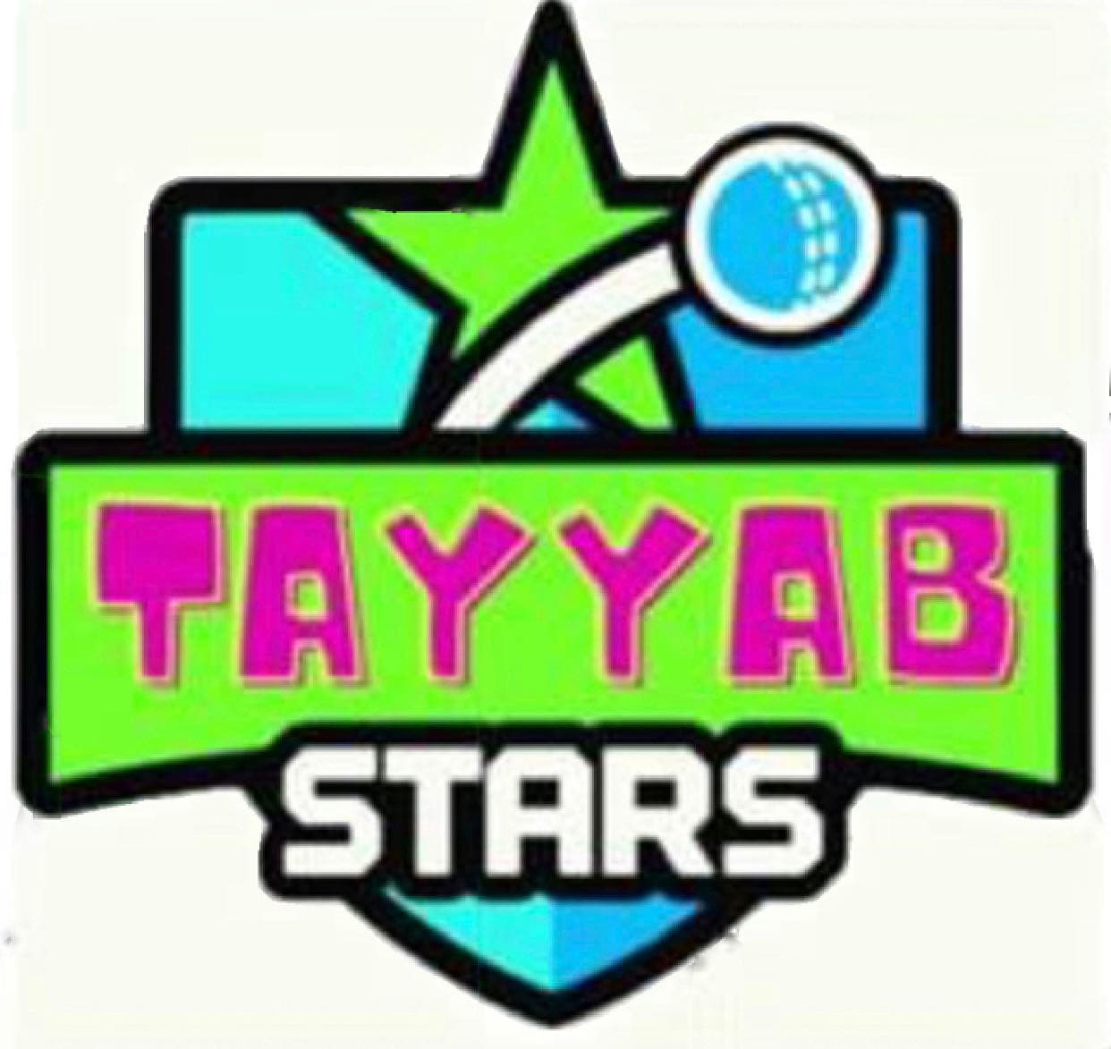 Tayyab Stars team logo