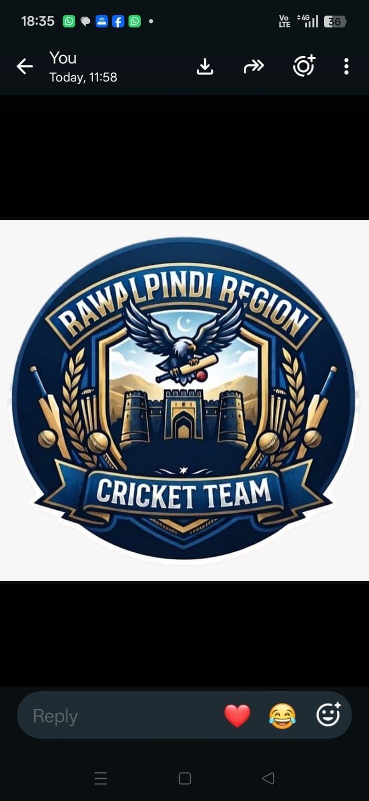 Rawalpindi Region team logo