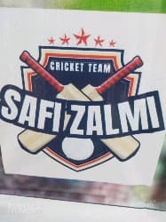 Safi zalmi