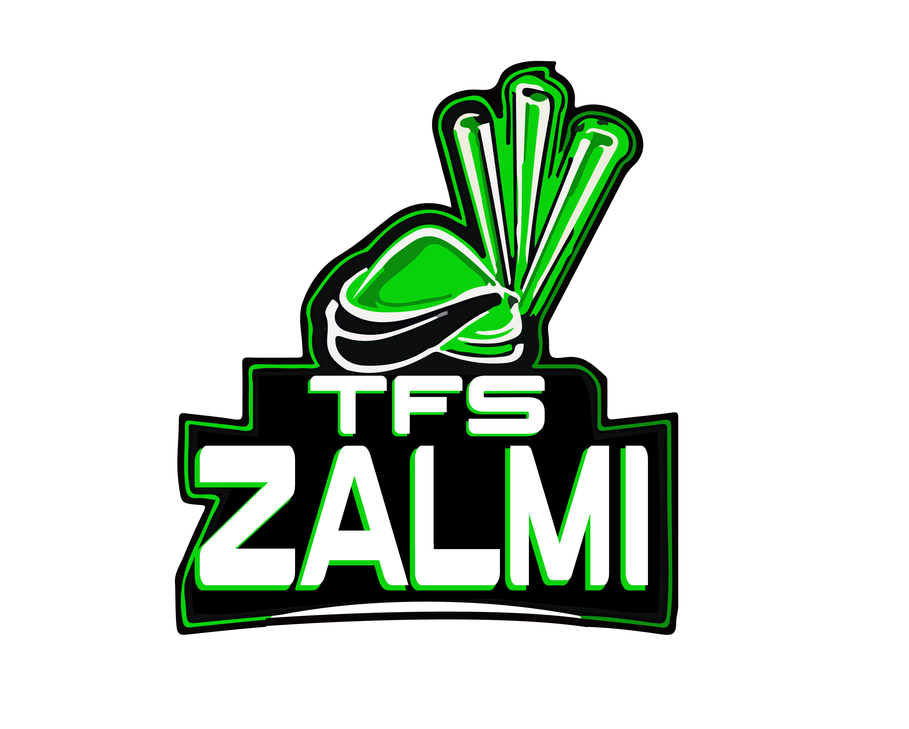 TFS Zalmi S3