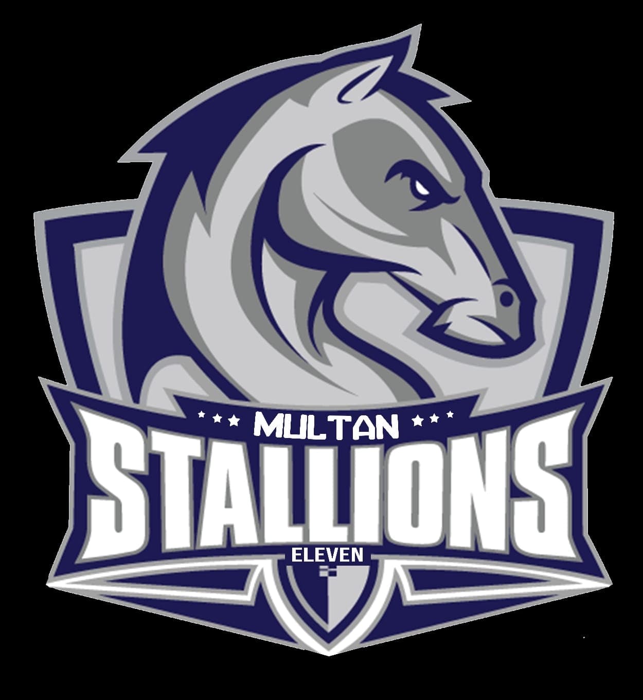 Multan Stallions team logo
