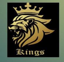 Mazdorabad Kings team logo