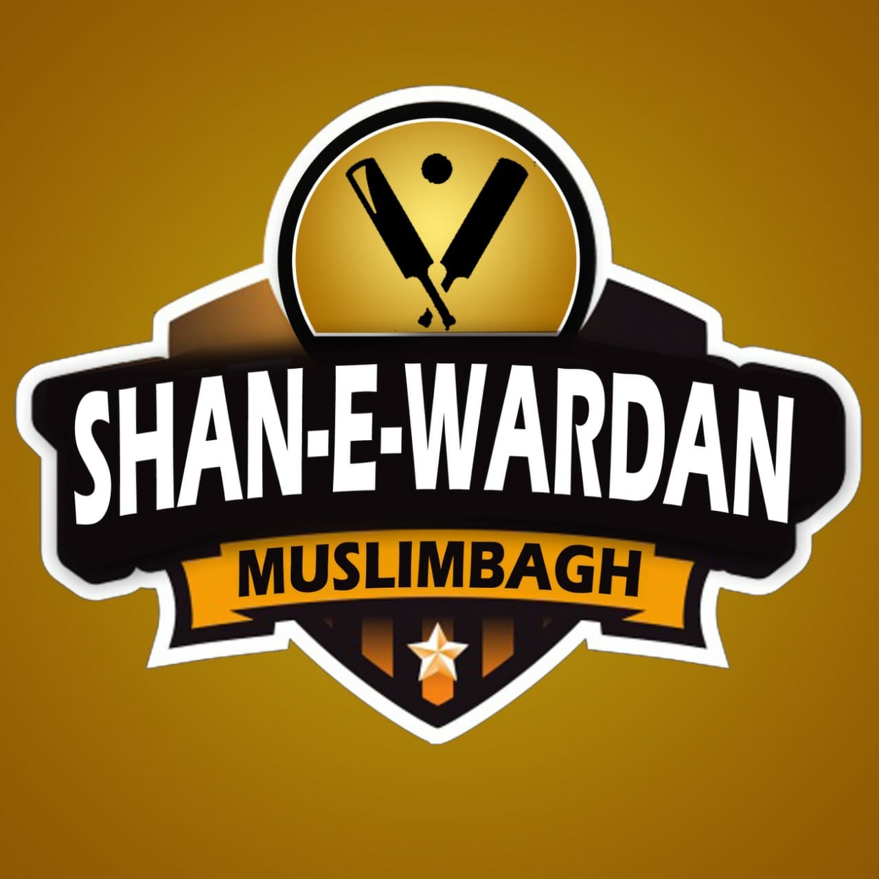 Shan E Wardan team logo