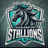 Shikarpur Stallions