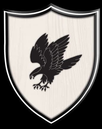 Gulistane Johar Falcons team logo
