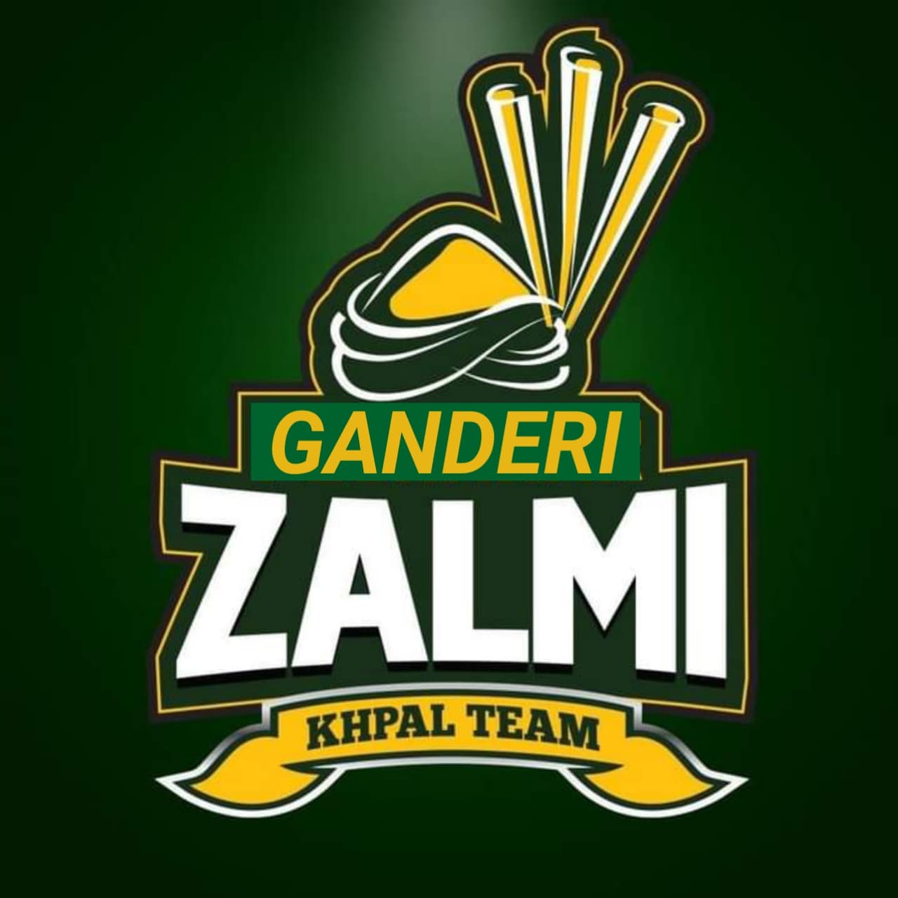 Ganderi Zalmi team logo