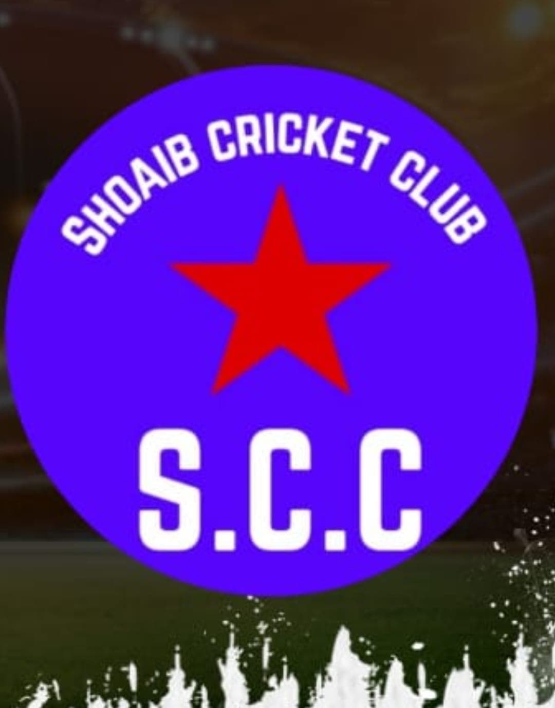 Shoaib Academy