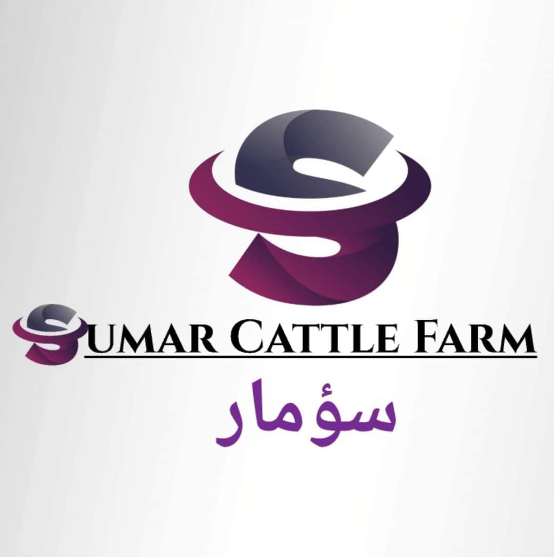 Hamza team logo