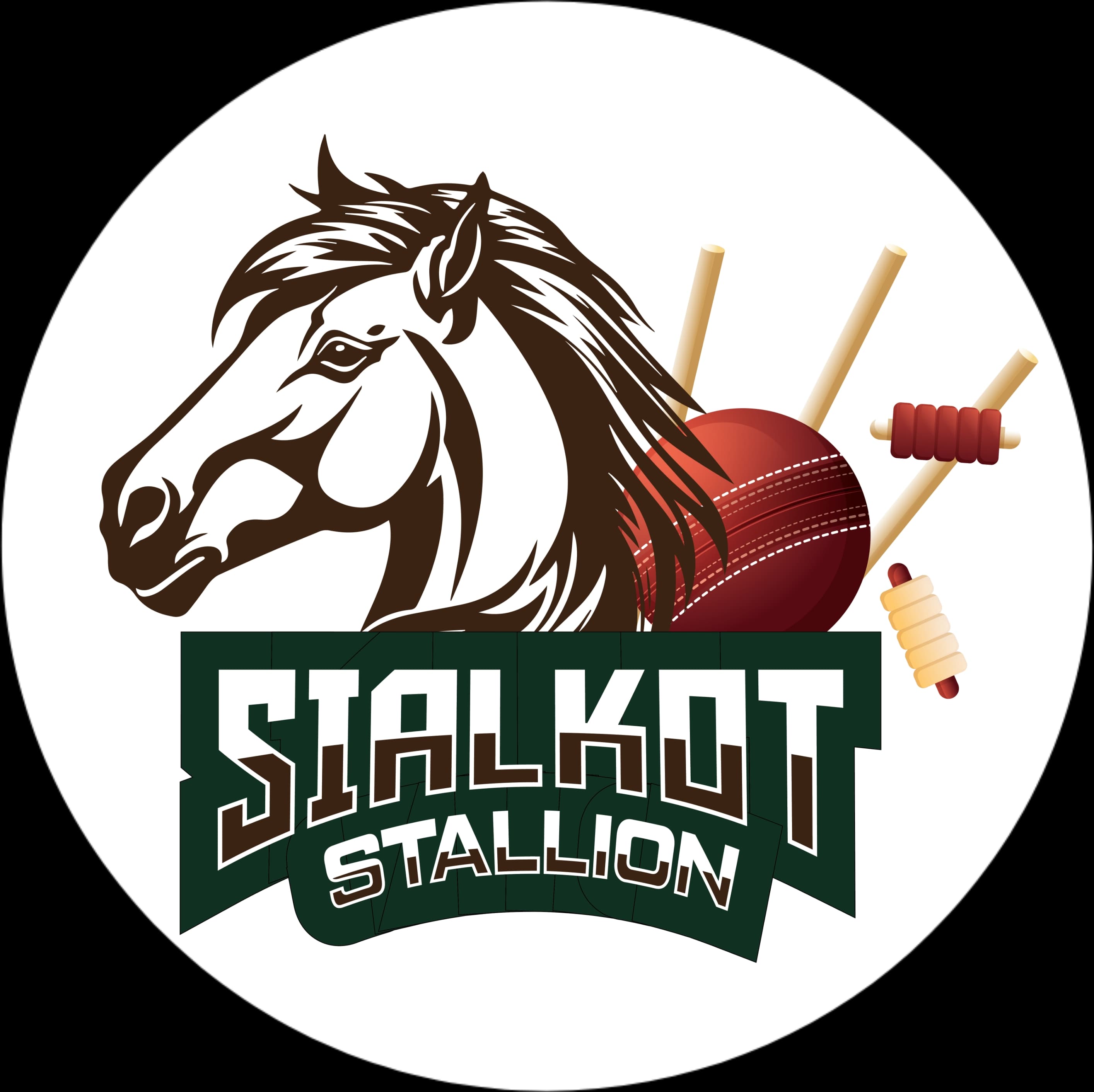 SIALKOT STALLIONS team logo