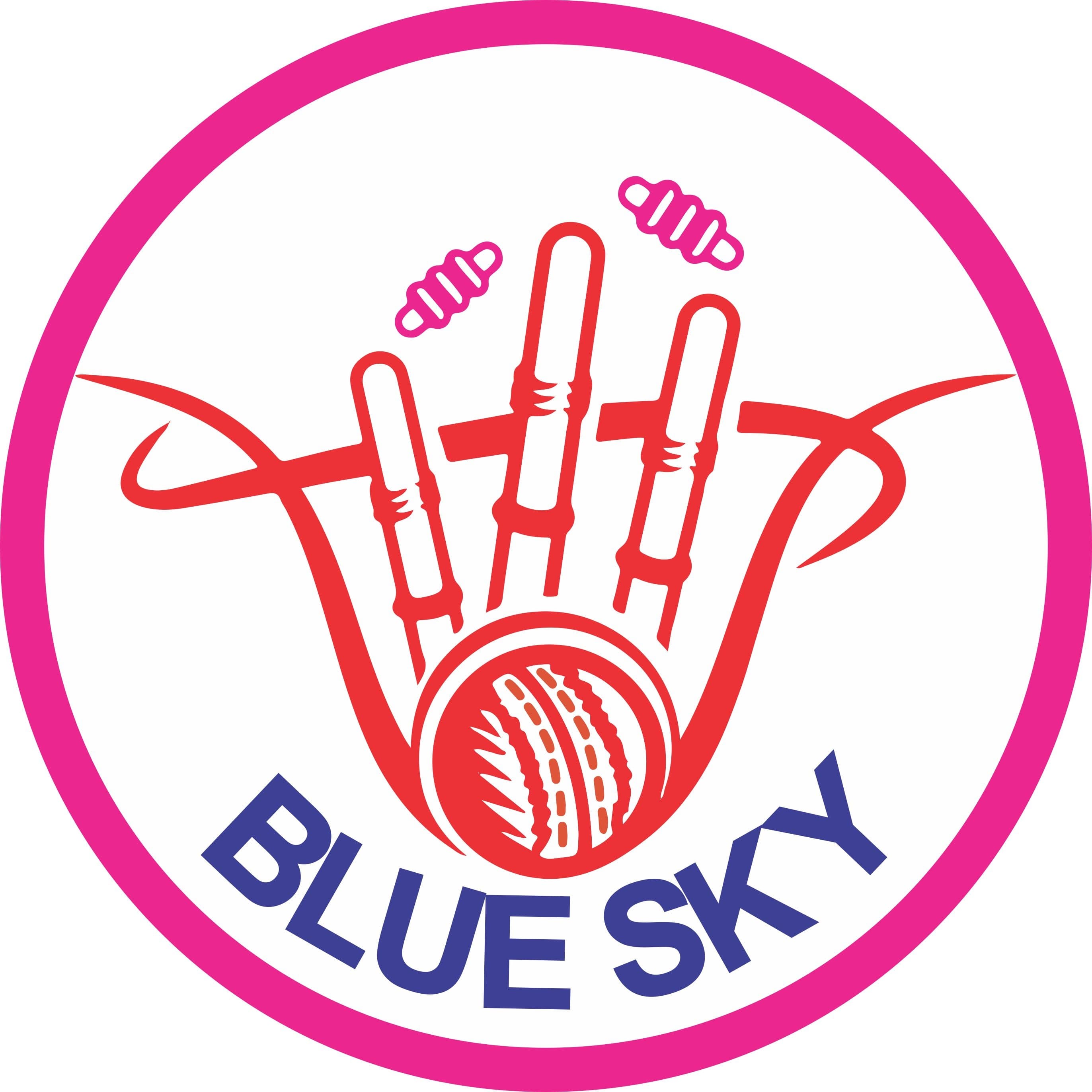 Blue Sky team logo