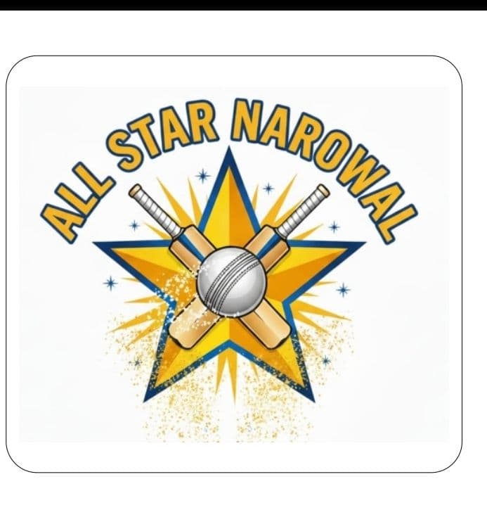 All Stats Narowal team logo