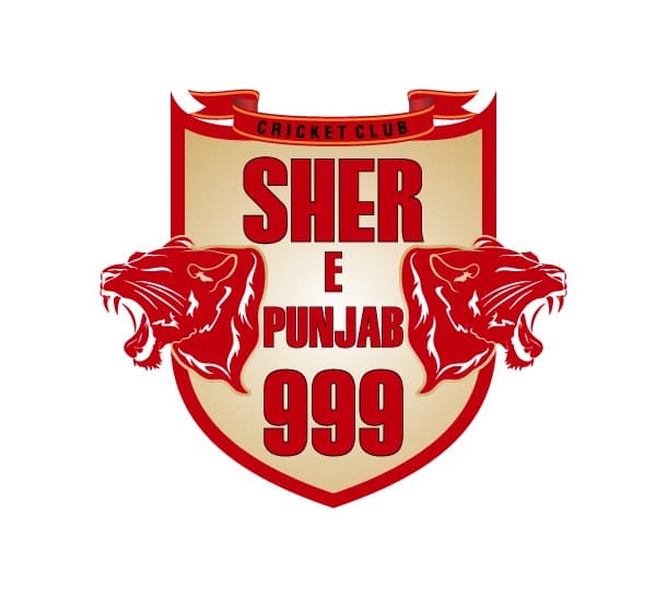 SHER - E - PUNJAB team logo