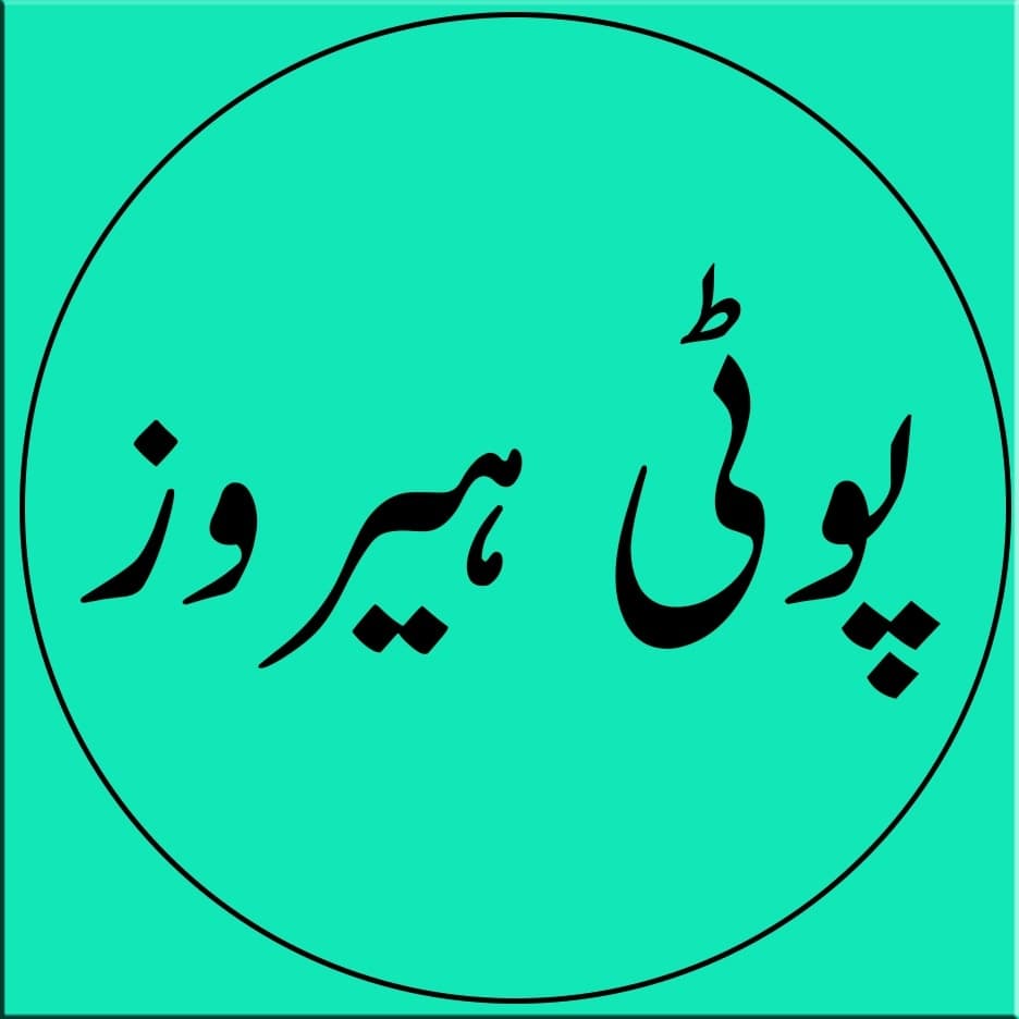 Poti Heroze team logo